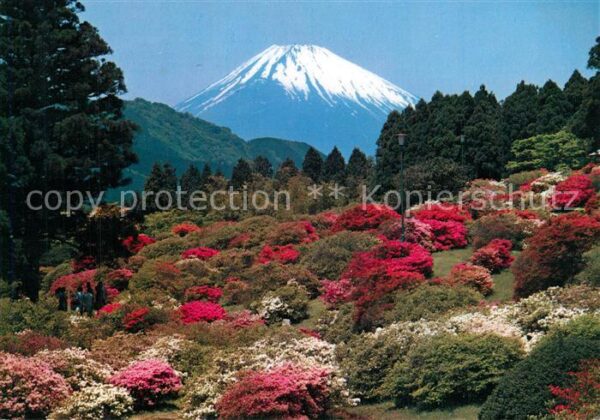 Fuji Mount Fuji in Spring