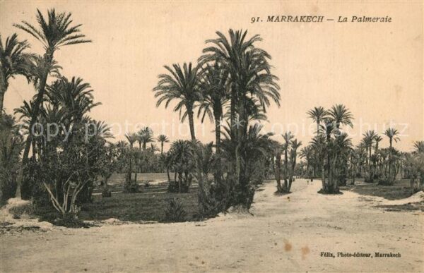 Marrakech Marrakesch La Palmeraie