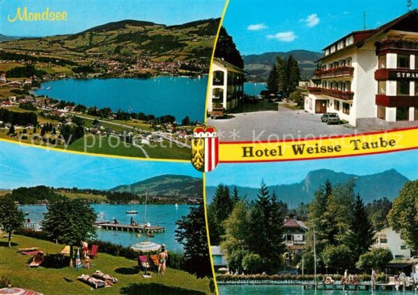Mondsee Salzkammergut Hotel Weisse Taube Liegewiese Badesteg
