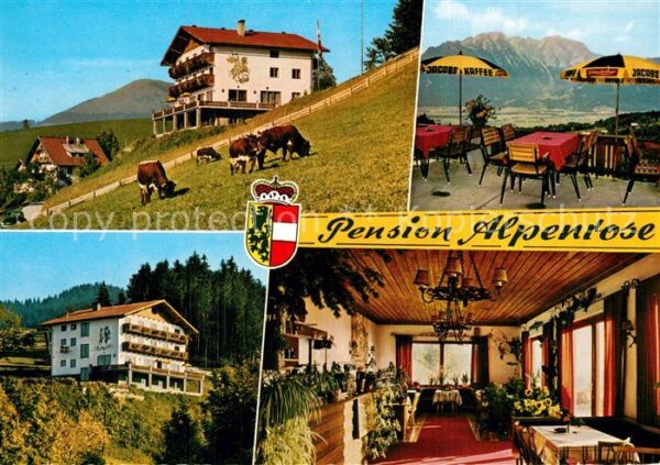 St Koloman Gasthof Pension Alpenrose Terrasse Vieh