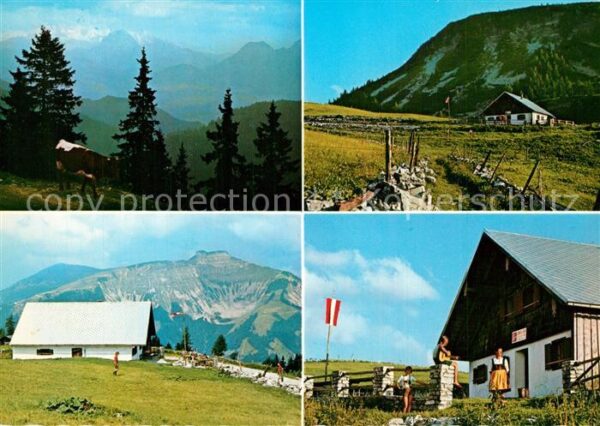 St Koloman Jausenstation Christl Alm Alpenpanorama
