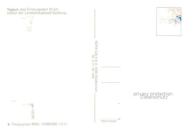 Vigaun Bad Fliegeraufnahme – Bild 2