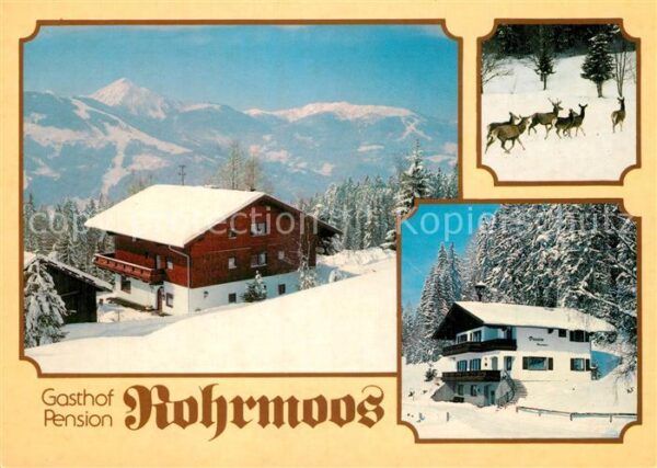 Radstadt Gasthof Pension Rohrmoos Rotwildgehege