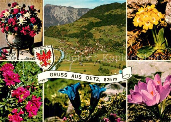 Oetz Panorama Teilansichten Alpenflora