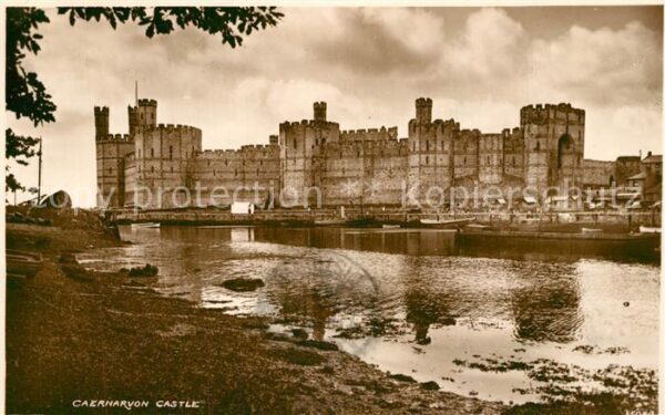 Caernarvon Castle