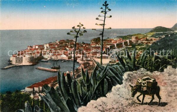 Dubrovnik Ragusa Panorama