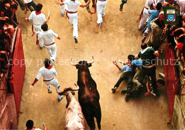 Pamplona Navarra Fiestas de San Fermín El Encierro