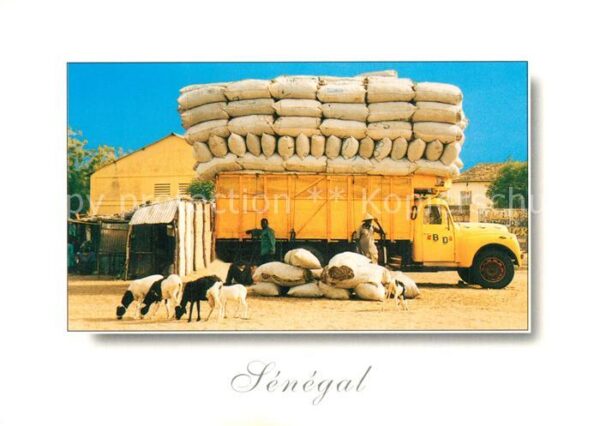 Senegal Transport du foin