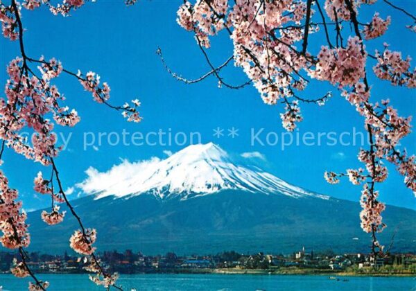 Mount Fuji and Cherry Blossoms Vulkan