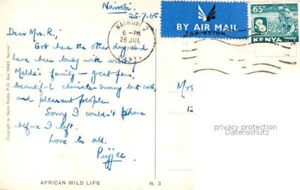 L?we Nairobi – Bild 2