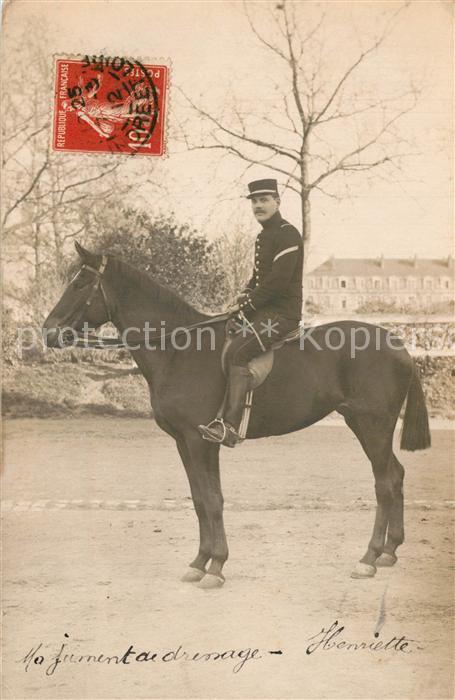 Militaria Frankreich Pferd