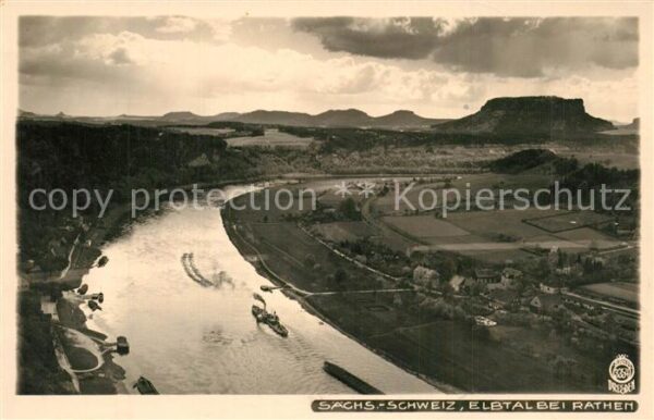 Foto Hahn Nr. 3354 Elbtal bei Rathen