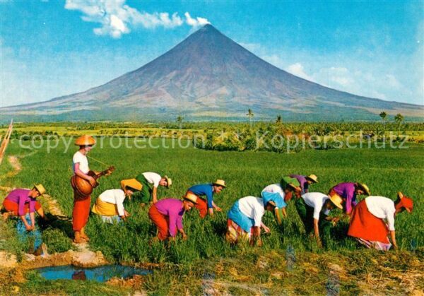 Landwirtschaft Pagtatanim NG Palay Rice planting Guita