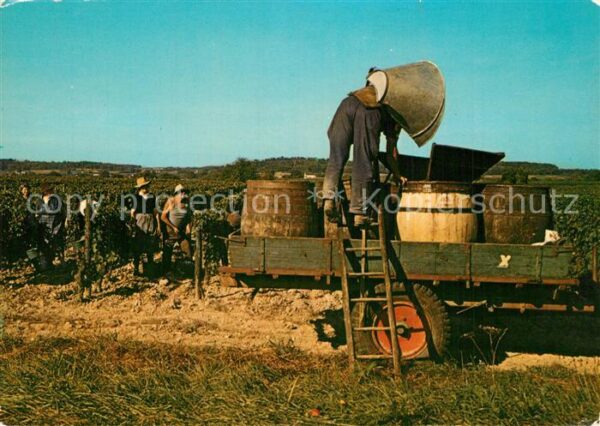 Ernte Landwirtschaft Vendanges Val de Loire