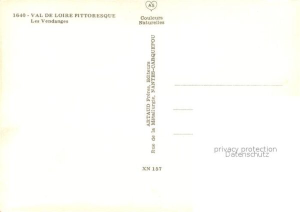 Ernte Landwirtschaft Vendanges Val de Loire – Bild 2