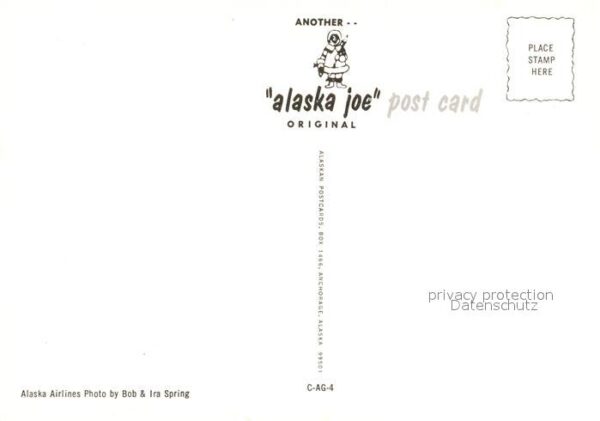 Gletscher Alaskan Glaciers – Bild 2