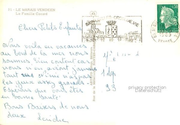 Enten Famille Canard Marais Vendeen – Bild 2