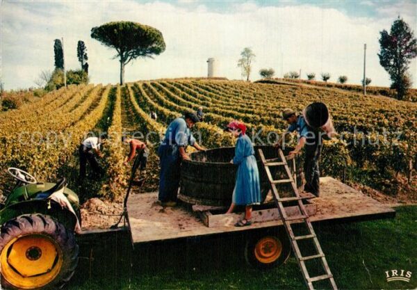 Ernte Landwirtschaft Weinlese Frankreich