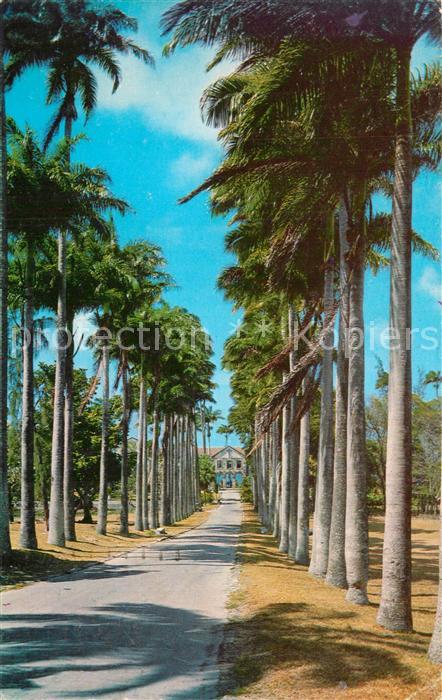 Barbados Codrington College