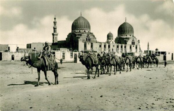 Cairo Egypt Sultan Barkouk Mosque Camele