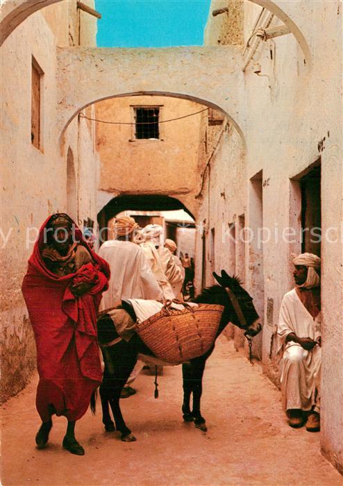 Alger Algerien Gasse Esel