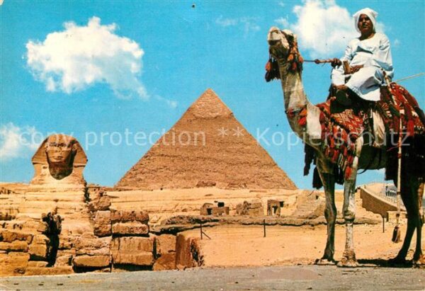 Cairo Egypt Giza Spinx Khephren Pyramide Camelreite