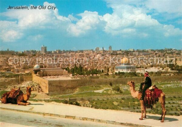 Jerusalem Yerushalayim Altstadt Blick vom Olivenberg Camelreit