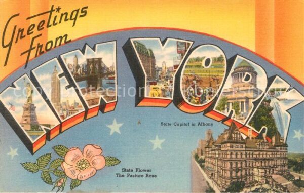 New York City Scenic vies of the city State Flower Pa