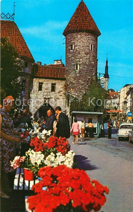 Tallin Tor Wiru Markt