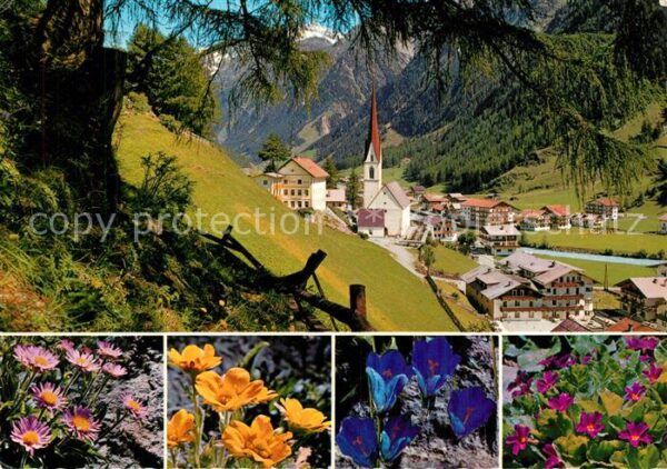 Soelden Oetztal Panorama Alpiner Luftkurort Alpenflora