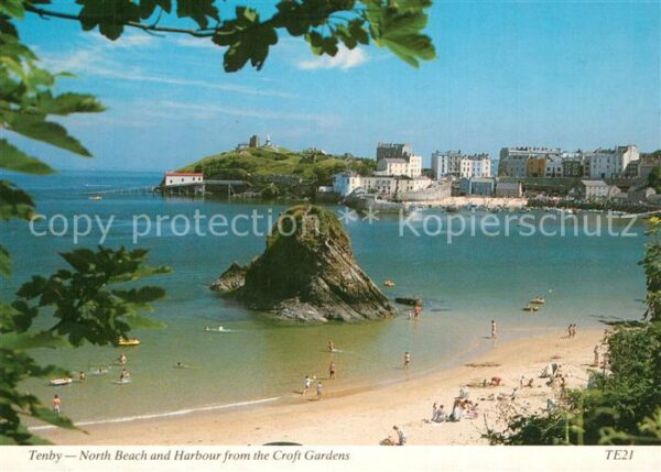 Tenby North Beach and Harbour from the Croft
