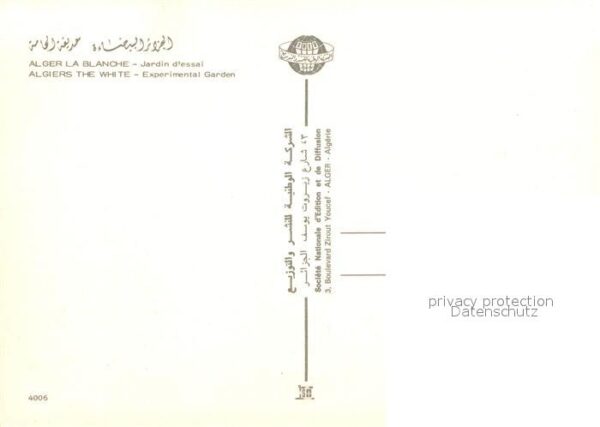 Alger Algerien La Maison Blanche Musee National des Be – Bild 2