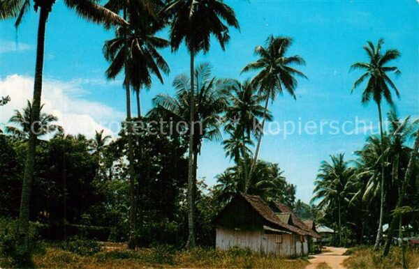 Singapore The picture shows a typical malay kampo