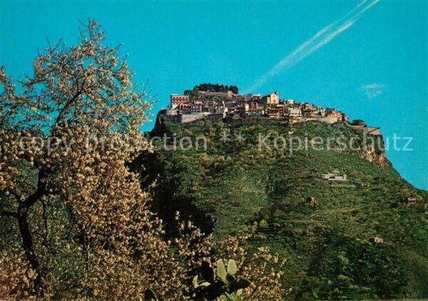 Mola di Bari Castel Mola Mandorli in fiore