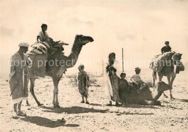 Erfoud Une Haite au Desert de Taouz