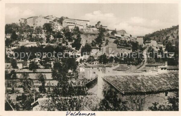 Valldemosa Panorama