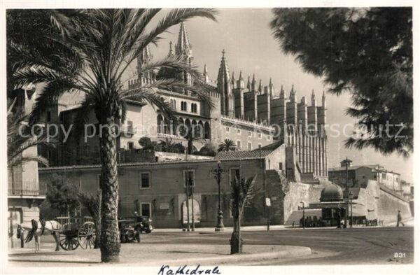 Palma de Mallorca Kathedrale Pferdegespann