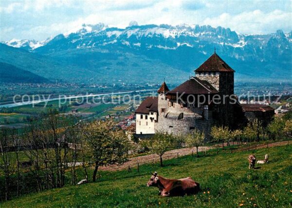Vaduz Schloss Rheintal Kreuzberge