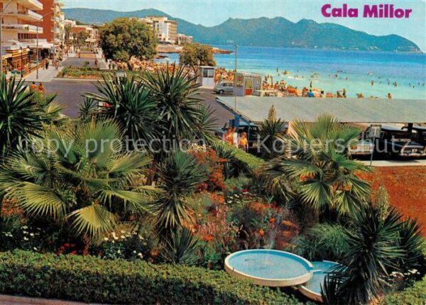 Cala Millor Mallorca Detalle