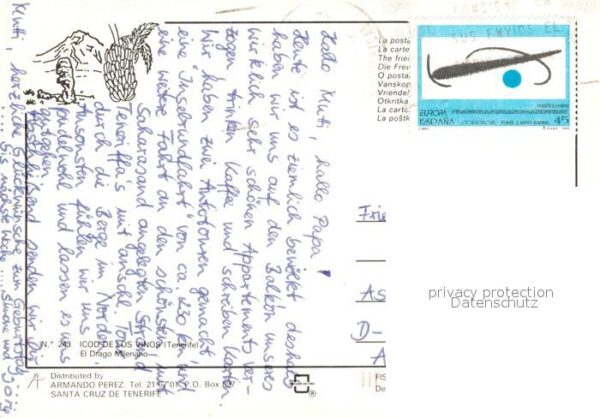 Icod de los Vinos El Drago Milenario – Bild 2