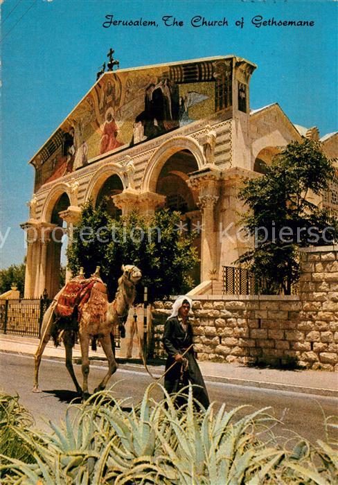 Jerusalem Yerushalayim Church of Gethsemane