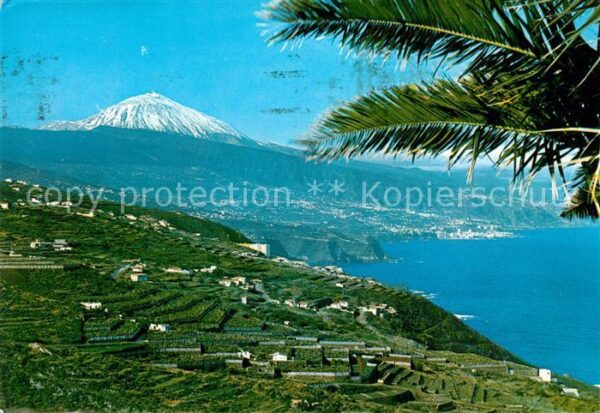 Puerto de la Cruz Paseije con Teide