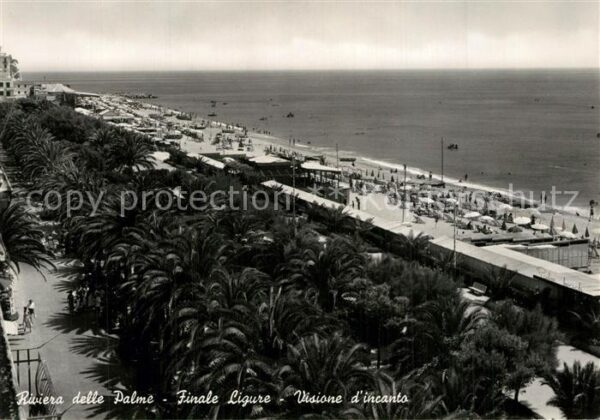 Finale Ligure Visione d_incanto Palmen
