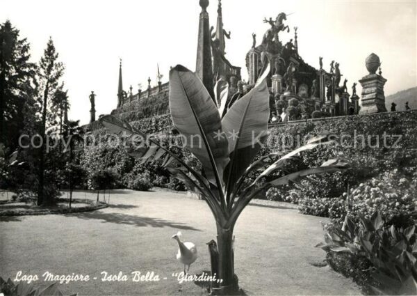 Isola Bella Lago Maggiore Giardini