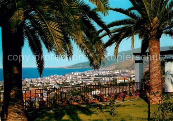 Bordighera Palmenhain