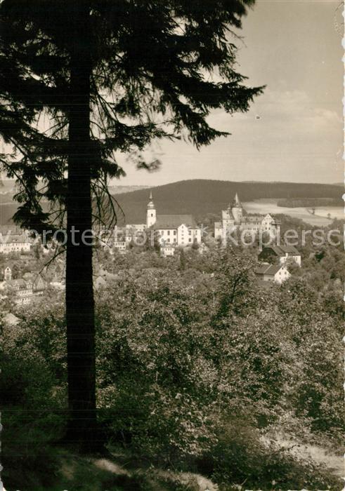 Schwarzenberg Erzgebirge Ansicht vom Waldrand aus Blick zum Schl