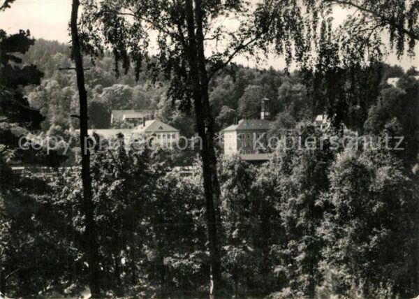 Wiesenbad Blick zum Sanatorium