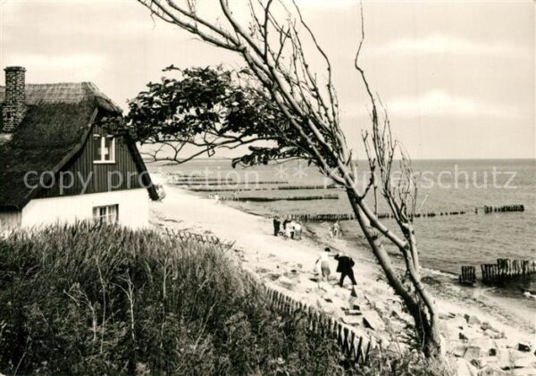 Ahrenshoop Ostseebad Dünenhaus Strand