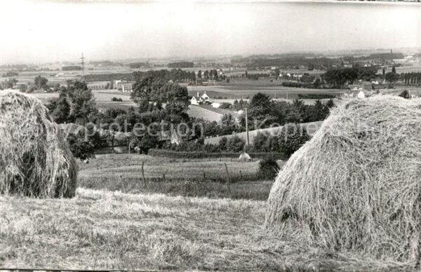 Mont de l  Enclus Vue sur Ruyen