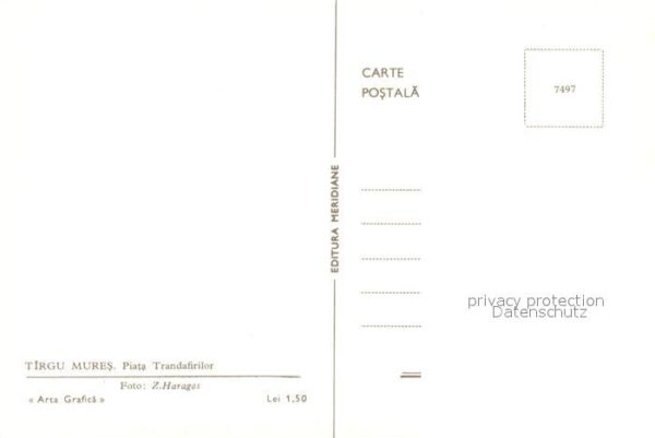 Tirgu Mures Piata Trandafirilor – Bild 2